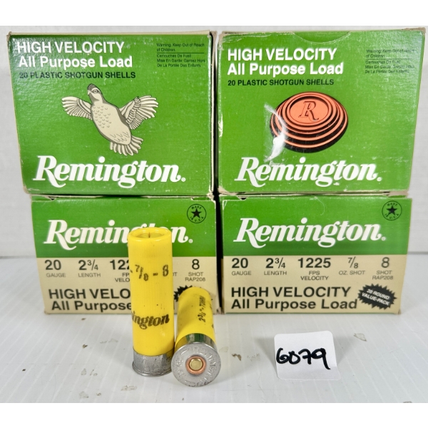 AMMO: 80X REMINGTON 20 GA 2-3/4 IN - #8