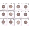 Image 1 : Lot of 12x Newfoundland 20-cent 1865-1904 Good to Fine in Plastic Sheet. 12pcs