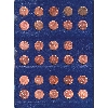 Image 4 : 1-cent 1920-1999 Collection in Vintage Whitman Album. 85pcs