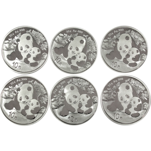 6x 30g China 2024 10 Yuan Panda .999 Fine Silver. 6pcs (Tax Exempt)