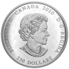 Image 3 : 2020 $250 Reimagined 1905 Arms of the Dominion of Canada Fine Silver Coin (Tax Exempt)