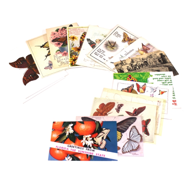 16x 1900s-1980s Butterfly Themed Postcards & Greeting Cards. France, Netherlands, & More! 16pcs. 