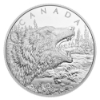 Image 2 : 2016 $125 Roaring Grizzly Bear 1/2 Kilo .9999 Fine Silver Coin