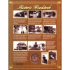 Image 2 : Lot of 4x 2001 Historic Woodstock, Ontario Centennial Medallion in History Display Board. 4pcs. 