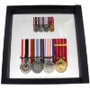 Image 3 : Canada Medal Groupings/Minis, Memorial Ribbon/Cross, & Duplicates ; ISSUED TO: MWO LMS Frederiksen