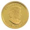 Image 2 : 2005 50-cent Moose 1/25oz .9999 Fine Gold Coin. (Tax Exempt)