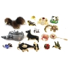 Image 1 : Lot of 15x Assorted Animal Pins. 15pcs. 