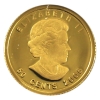 Image 2 : 2006 Gold 50-cent Cowboy 1/25oz .9999 Gold Coin (Tax Exempt)