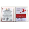 Image 2 : 2020 $20 Dancing Diamond - Sparkle of the Heart Fine Silver Coin (Tax Exempt)