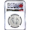 Image 1 : 2015 $10 Welcome to the World - Baby Feet Reverse Proof NGC PF70 (Tax Exempt)