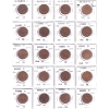 Image 1 : Great Britain Half Penny & One Penny 1863-1967 Bulk Collection in 2x 20 Pocket Sheets. 40pcs. 