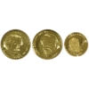 Image 1 : 1/10oz Lot Total! Albert Einstein .999 Fine Gold Coins. 3pcs. (Tax Exempt)