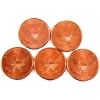 Image 2 : 5x 1oz Assorted The Ice Age .999 Fine Copper Rounds. 6pcs