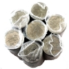 Image 1 : 25-cent 1999 May, 6x 2000; Feb, March, June, August, Sept & Oct Quarter Rolls of 40pcs. 7 Rolls.