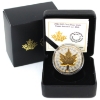 Image 1 : 2024 $20 Super Incuse SML. 1oz .9999 Fine Silver with Selective Gold Plating (Tax Exempt)