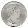 Image 2 : 10oz 2017 $50 Magnificent Maple .9999 Fine Silver Round (Tax Exempt)