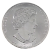 Image 2 : 10oz 2017 $50 Tree of Life .9999 Fine Silver Coin (Tax Exempt)