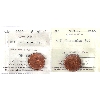 Image 1 : 1-cent 1949 A to Denticle & A Off Denticle ICCS MS65 Red. 2pcs. 