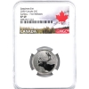 25-cent 2020 Specimen Set, First Releases NGC SP69