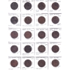 Image 2 : Great Britain Penny 1860-1913 Bulk Collection in 3x 20-Pocket Sheets. 58pcs.