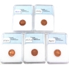 Image 2 : 1-cent 1981-1989 NNC PR70 Red; Deep Cameo. 5pcs.