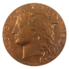 Image 1 : France 1894 Paris Agricultural Competition Medal 58.34g-Bronze, 50mm