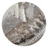 Image 4 : Silver $1 1937 Dbl HP ICCS MS65
