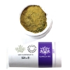 Roll Loon $1 2017 Connecting a Nation Special Wrap Roll of 25pcs