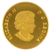 Image 2 : 2013 Gold $5 O Canada - The Caribou 1/10oz .9999 Fine Gold Coin (Tax Exempt)