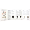 Image 2 : United Kingdom 2021 Brilliant Uncirculated Annual 13 Coin Set.