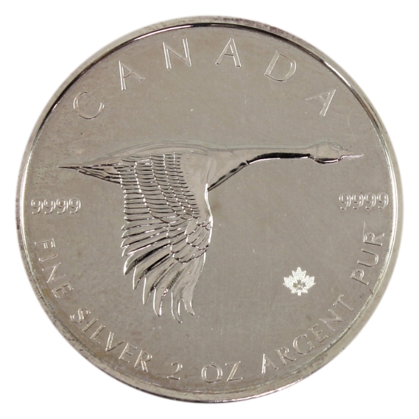 2oz 2020 $10 Canada Goose .9999 Fine Silver Round (Tax Exempt)