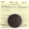 Image 1 : 1-cent 1891 SL SD Obverse 3 Closed C ICCS VF30