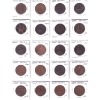 Image 1 : Great Britain Penny 1860-1913 Bulk Collection in 3x 20-Pocket Sheets. 58pcs.