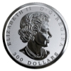Image 3 : 2019 Platinum $300 Maple Leaf Forever Pure Platinum Coin (Tax Exempt)