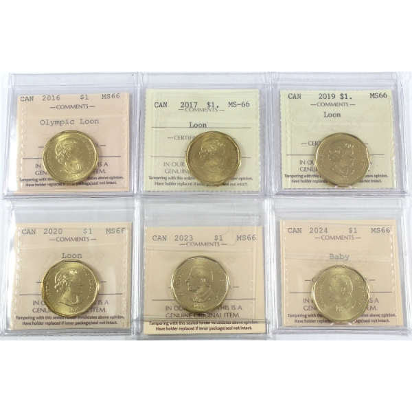 6x Loon $1 2016 Olympic, 2017, 2019, 2020, 2023, & 2024 Baby ICCS MS66. 6pcs.