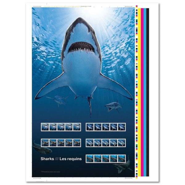 2018 Sharks in Canadian Waters Uncut Press Sheet of 5 Strips of Stamps