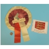 Image 1 : ENGLAND ROSETTE AND HARD LABEL