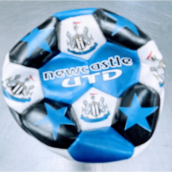 Newcastle United Soccer Football
