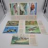 Image 1 : 8 Great Britain TYPHOO TEA British Achievements Cards