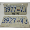 Image 1 : PAIR of Same Number BRITISH COLUMBIA LICENSE PLATES