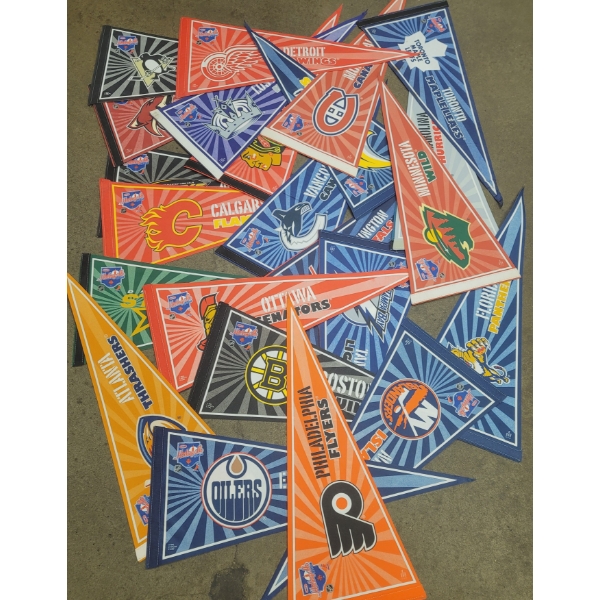 30 Different NHL Hockey Pennants 2008 CBC Hockeyville