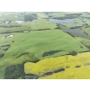 Image 18 : 1/2 Section of Farmland plus Yard Site complete with House & out Buildings.