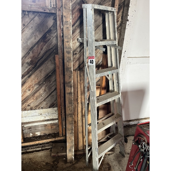 6ft Step Ladder