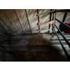 Image 2 : Misc. Rough Plank in Barn (as a lot)