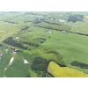 Image 19 : 1/2 Section of Farmland plus Yard Site complete with House & out Buildings.