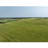 Image 9 : 196 Acres total, Mostly Cultivated.  Note: $3200 annual lease revenue.