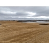 Image 7 : SE-25-53-7-W4 114.75 Acres