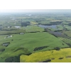 Image 17 : 1/2 Section of Farmland plus Yard Site complete with House & out Buildings.