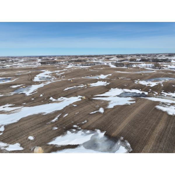 Parcel 2: SW-26-49-10-W4—Approx. 135 cultivated acres.