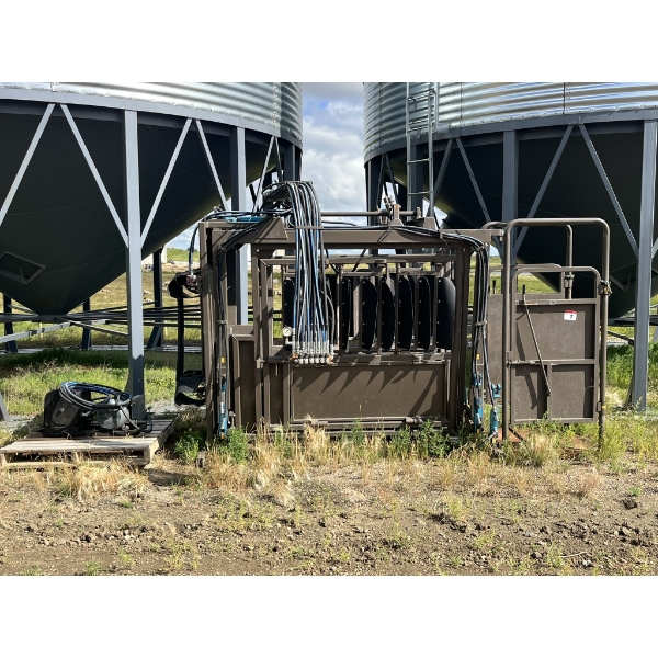 Hydraulic cattle squeeze